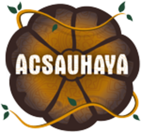 Die Ayahuasca Wirkung selbst erfahren