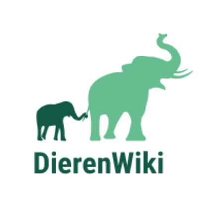 Waar kunt u alles over dieren vinden?