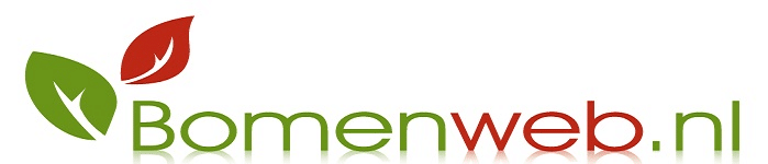 Waar kunt u de mooiste haagplanten online kopen?